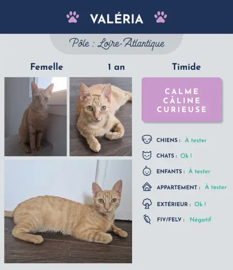 Valéria