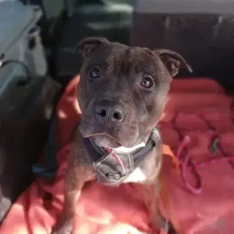 Max