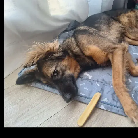Kira photo 2