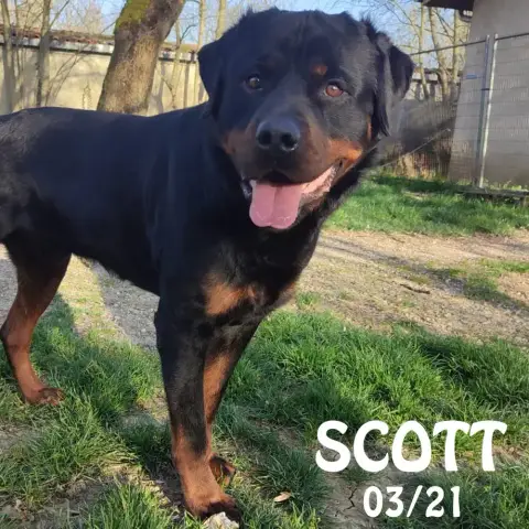 Scott photo 2
