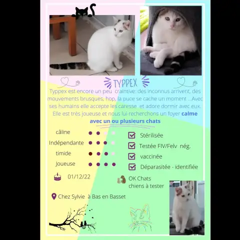 Typpex photo 2