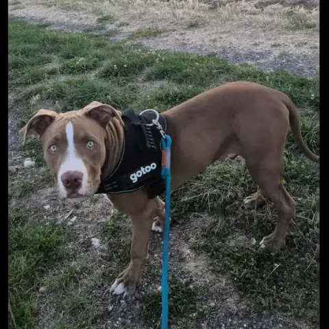 Kane photo 3