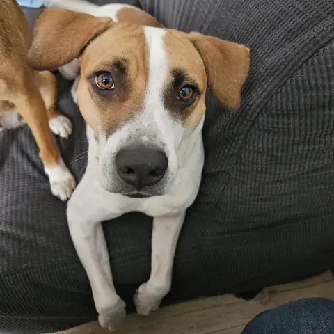 Elliot photo 2