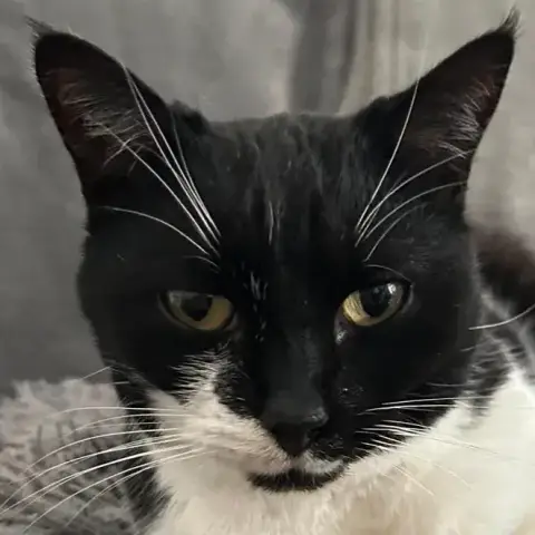 Fiona photo 2