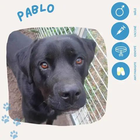 Pablo