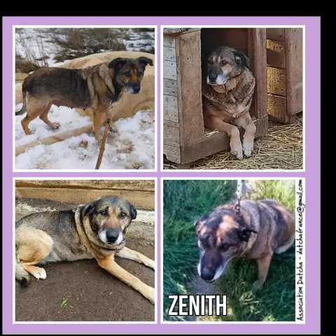 Zenith