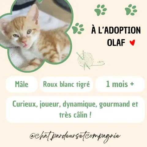 Olaf