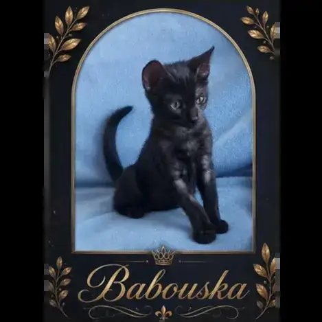 Babouska