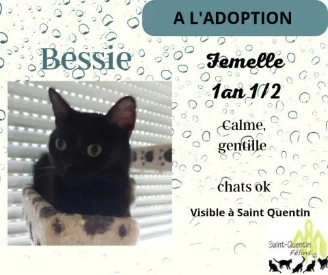Bessie
