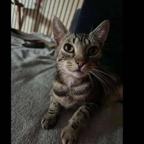 Maggy Ou Miss Bisous
