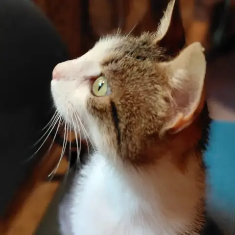 Minette ♀️ photo 3