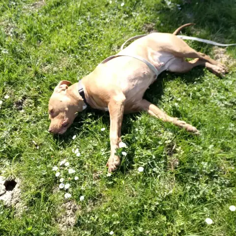 Maya photo 3