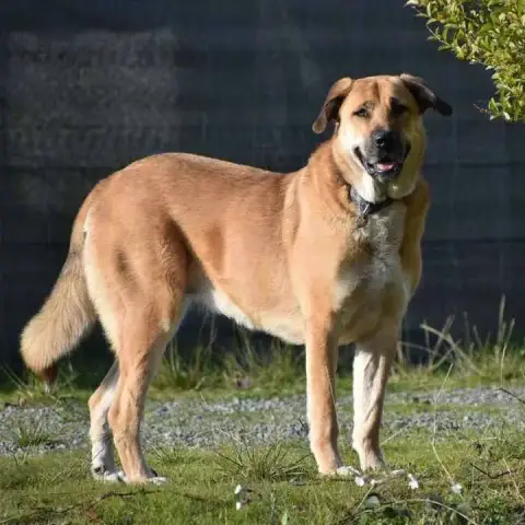 Julietta photo 2