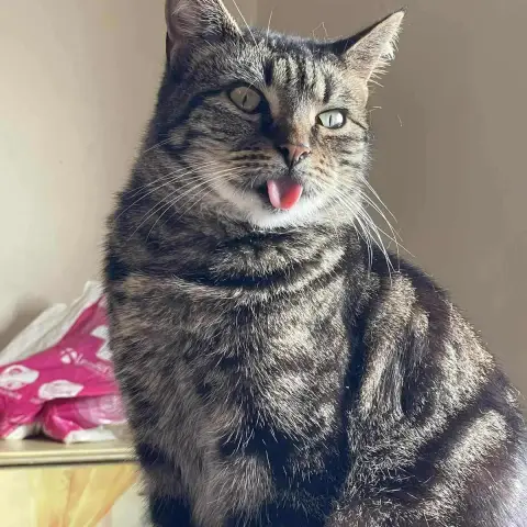 Kiara