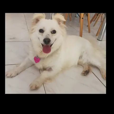 Lumi photo 3