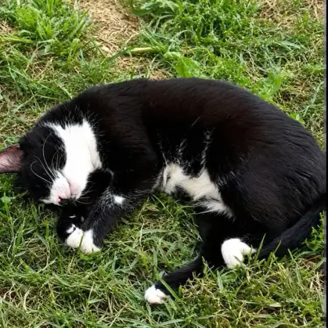 Minnie photo 3