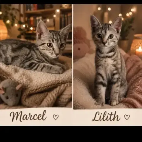 Marcel Et Lilith