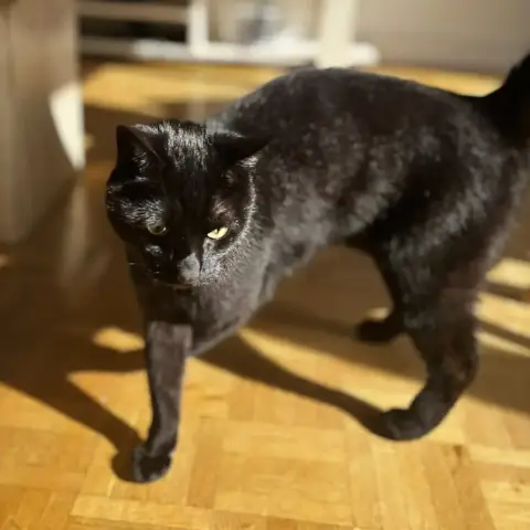 Roger