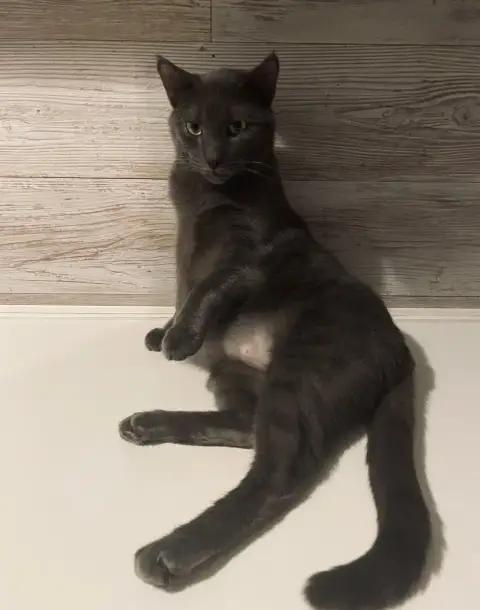 Rio