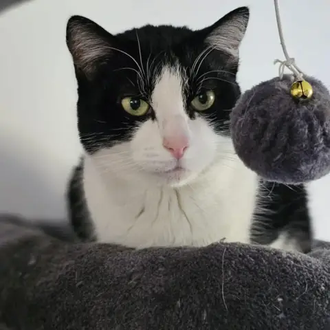 Mili