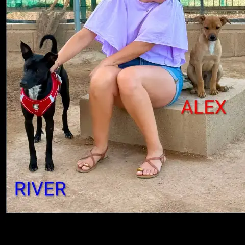 Alex Et River