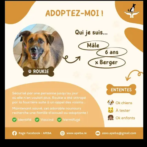 Roukie