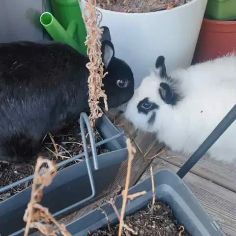 Marco Et Paula