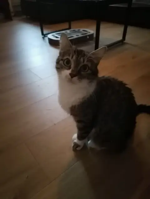 Tina photo 2