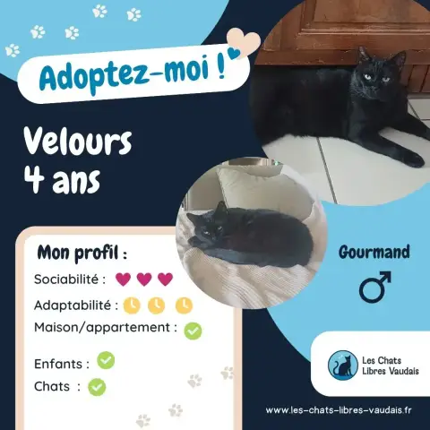 Velours photo 3
