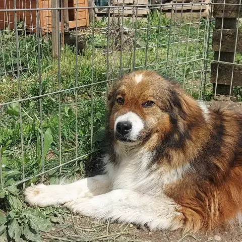 Darla photo 3