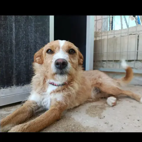 Luna photo 2