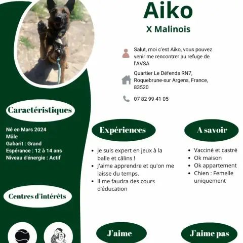 Aiko photo 2