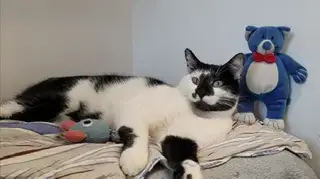 Paquito