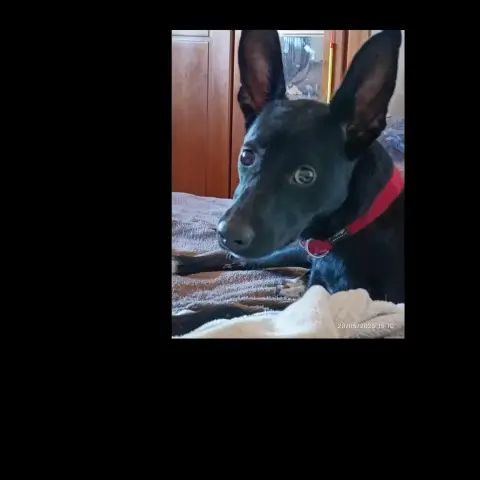 Karma photo 3