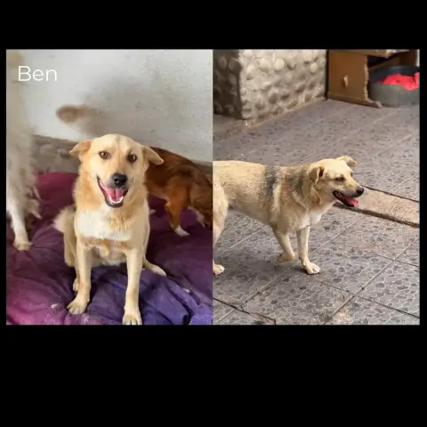 Ben