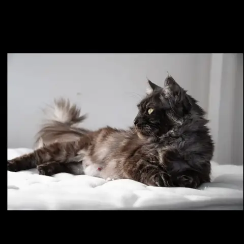 Freyja photo 2