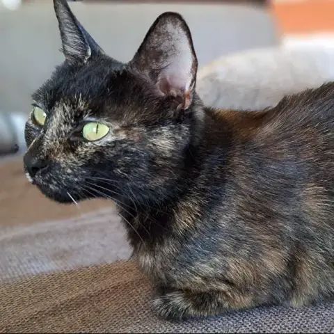 Mahina