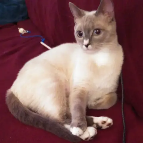 Navi photo 2