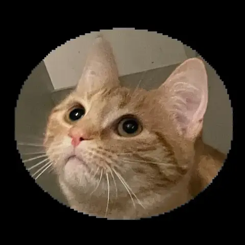Ginger