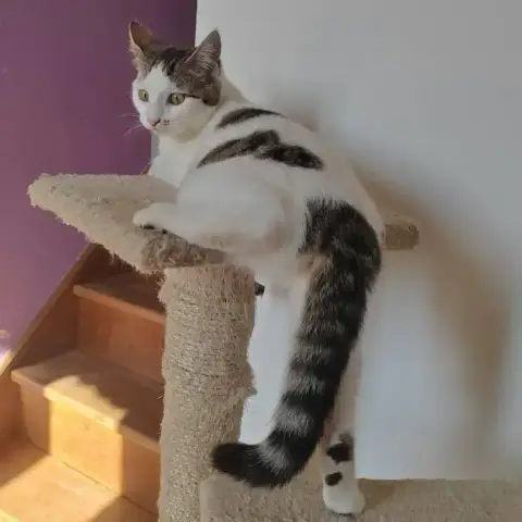 Sleepy