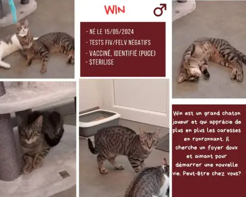 Win