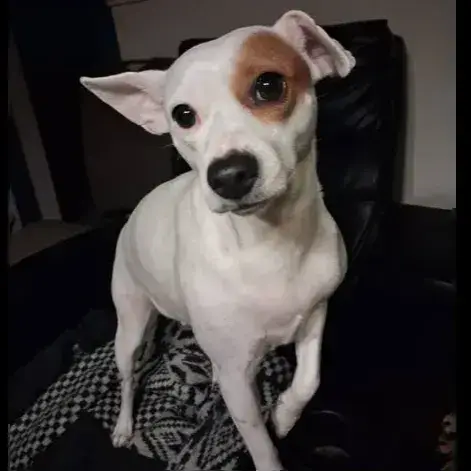 Marie