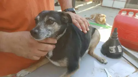 Beni
