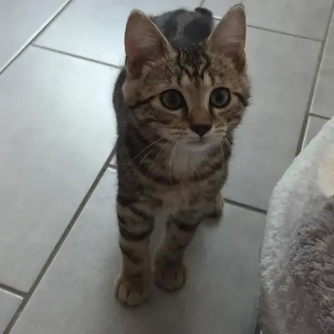 Milo photo 2