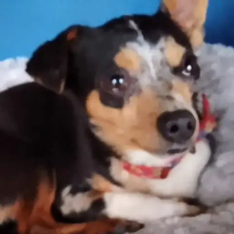 Pablo