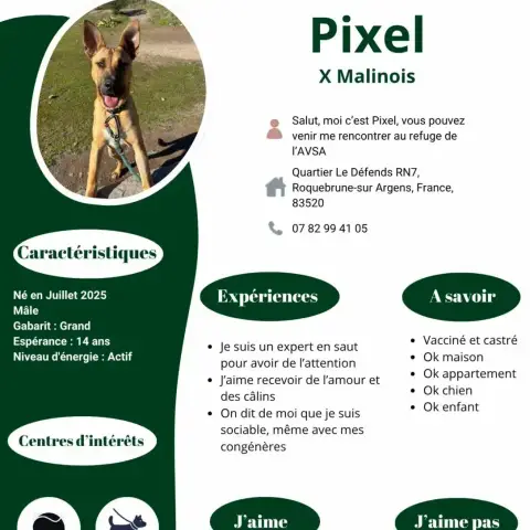 Pixel photo 2