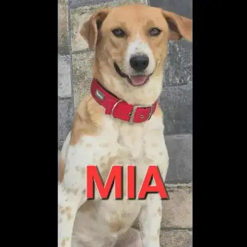 Mia
