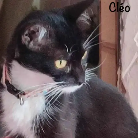 Cléo photo 2