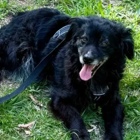 Maya photo 2