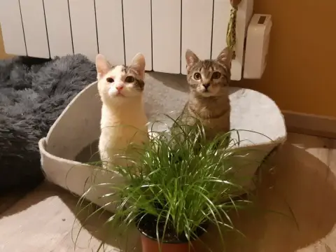Leila & Sarah